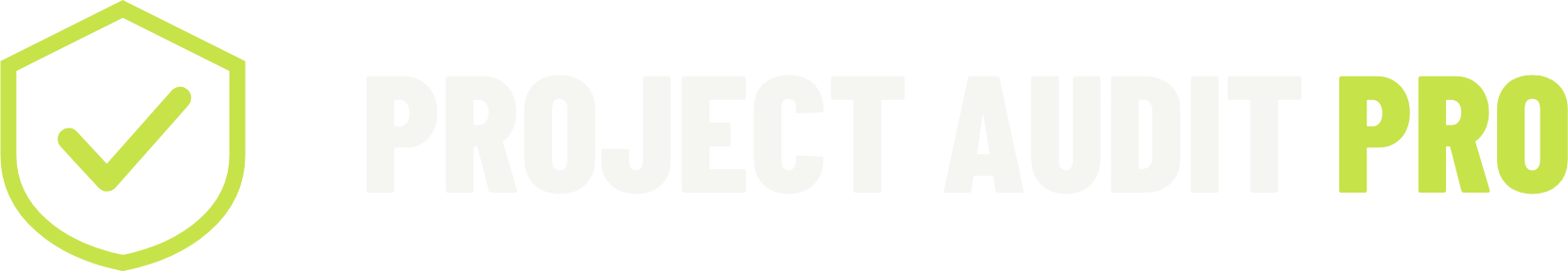 Project Audit Pro